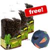 3 x JR Farm Grainless Complete Guinea Pig + Snacky Free!