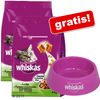 2 x 4 kg Whiskas Adult + Ciotola per il cibo gratis!