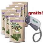 6 x Multipack Greenies snacků + dynamo-baterka zdarma!