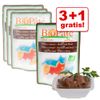 3 + 1 zdarma! 70g Almo Nature Bio Paté