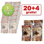 20 + 4 zdarma! 24 x 100 g Catessy kapsičky