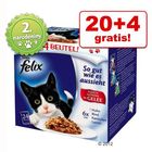 20 + 4  zdarma! 24 x 100 g Felix kapsičky