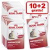 10 + 2 zdarma! 12 x 85 g kapsička Royal Canin