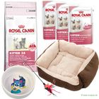 Zestaw Royal Canin Kitten dla kociąt