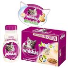 Zestaw Whiskas Junior All inclusive