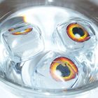 zooplus Frostie Eiswürfel