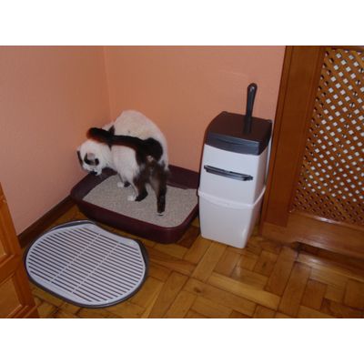 Pumuky