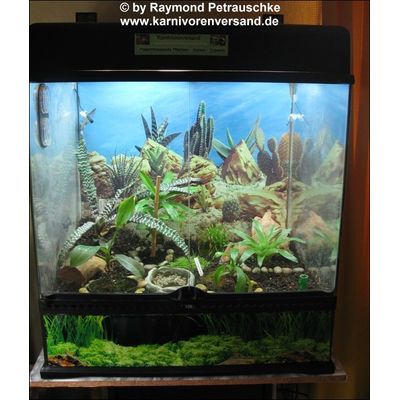 Super Terrarium !!!