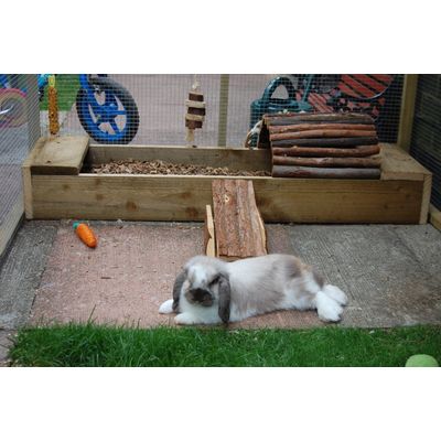 My see-saw
