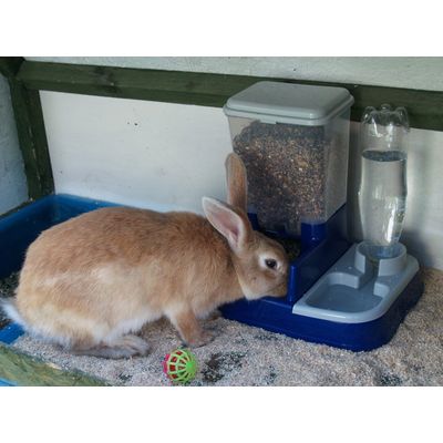 Lakota loves her new dish.