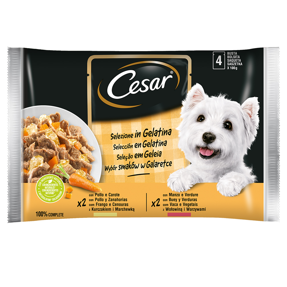 Fotografie produktu: Cesar Feines Selection v želé - 96 x 100 g