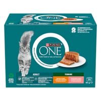 PURINA ONE Adult Terrina