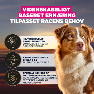 Videnskabeligt baseret ernæring, tilpasset racens behov. Højt indhold af animalsk protein, omega-6 & 3 for hud og pels, E-vitamin og betacaroten for immunsystemet.