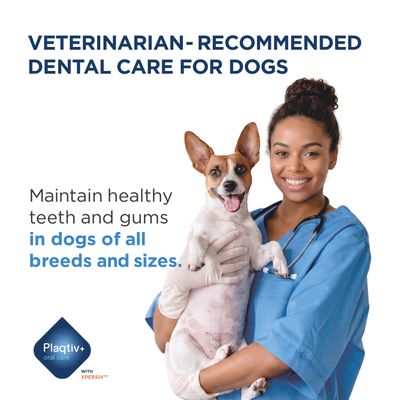 Recommended dental care for dogs by veterinarians. Maintains healthy teeth and gums in dogs of all breeds and sizes. Plaqtiv+ oral care with XPERSIV.