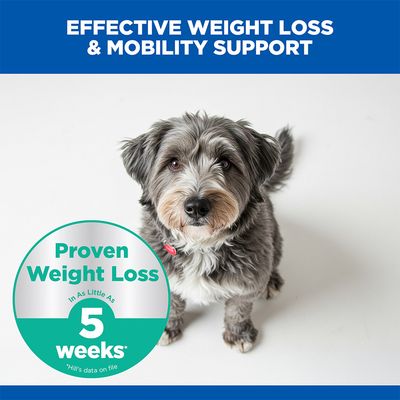 Hill's Science Plan Perfect Weight & Active Mobility Adult 1+ Medium with Chicken