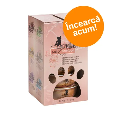 Pachet catz finefood, 6 boluri în 6 sortimente, total 510 g (6 x 85 g). Text portocaliu: Încearcă acum! Pachet catz finefood, 6 boluri în 6 sortimente, total 510 g (6 x 85 g). Text portocaliu: Încearcă acum!