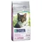 Bozita Weizenfrei Hair & Skin 2 kg