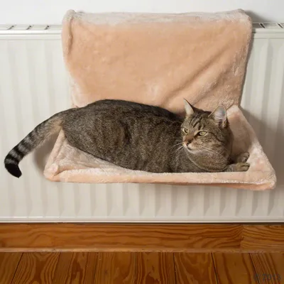 Cat lounger made of beige plush, attached to a radiator. Grey cat lying relaxed on it.