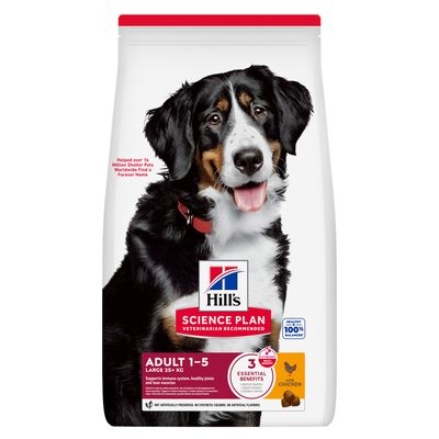 Lot de 2 sacs Hill's Science Plan Adult 1–6 Medium 11–25 kg, poulet. Texte visible : 'Supports immunity, healthy digestion and lean muscles in adult dogs'.