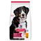 Hill's Science Plan Adult 1-5 Large poulet pour chien 14 kg