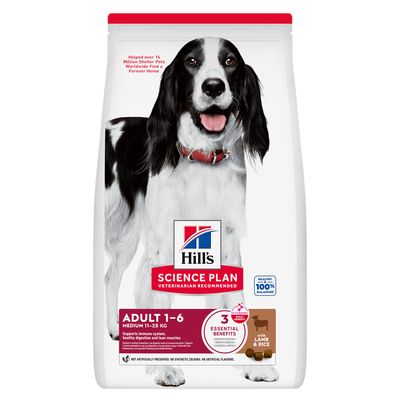 Hill's Science Plan Adult 1-6 Medium 11-25kg cu miel și orez. Susține imunitatea, digestia sănătoasă și musculatura suplă la câinii adulți. Fără conservanți artificiali.