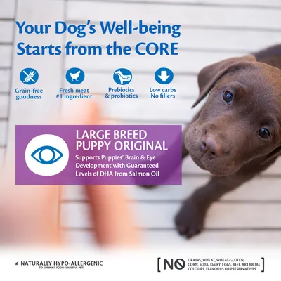 Tekst: Large Breed Puppy Original. Supports Puppies’ Brain & Eye Development with Guaranteed Levels of DHA from Salmon Oil. Grain-free, świeże mięso, prebiotyki i probiotyki, mało węglowodanów.