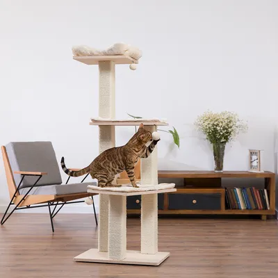 Kratzbaum mit drei Ebenen, Sisalstämmen und Spielball. Bengal-Katze spielt auf mittlerer Ebene. Oberste Plattform mit gepolsterter Liegefläche.