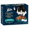 Felix "Tasty Shreds" Pliculețe 12 x 80 g Ocean Selection (somon, ton, cod și cambulă)