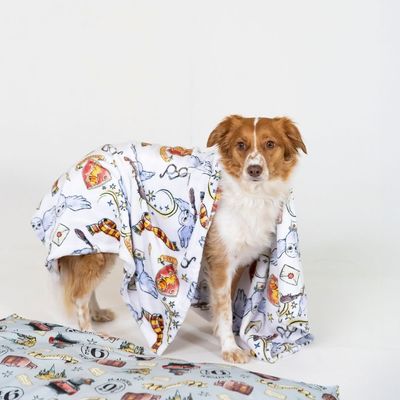 Chien recouvert d’une couverture blanche à motifs colorés (chouette, écharpe, lettres, fioles). Autre couverture similaire posée au sol à côté.
