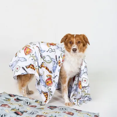 Hund mit weisser Decke, bedruckt mit bunten Illustrationen wie Zauberstäben, Eulen und Tränken. Zweite Decke mit ähnlichem Design liegt daneben.