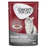 Sparpaket Concept for Life 48 x 85 g Maine Coon Adult (Ragout-Qualität)