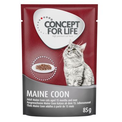 Concept for Life Maine Coon Adult (a base di pregiato ragù) 48 x 85 g