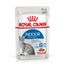 Royal Canin Indoor Sterilised umido in Salsa per gatti 12 x 85 g