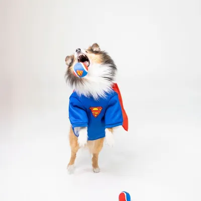 DC Superman zestaw piłek tenisowych - 4 szt. (Ø 6,3 cm każda)