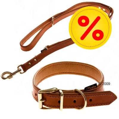 Brunt hundehalsbånd og line i læder med metalspænder, Heim mærke synligt. Gul cirkel med rød procenttegn indikerer tilbud eller rabat. Brunt hundehalsbånd og line i læder med metalspænder, Heim mærke synligt. Gul cirkel med rød procenttegn indikerer tilbud eller rabat.