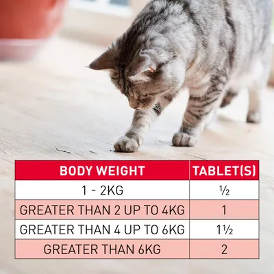 Dosage table: 1-2kg body weight, half tablet; over 2 up to 4kg, 1 tablet; over 4 up to 6kg, one and a half tablets; over 6kg, 2 tablets.