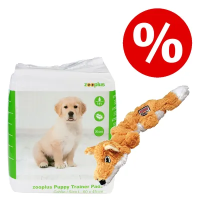 zooplus Puppy Trainer Pads, Größe L 60x45 cm, 30 Stück, neben Plüsch-Fuchs-Spielzeug und rotem Prozentzeichen für Rabattaktion