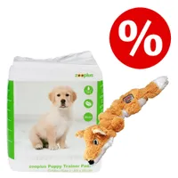 Sparset! zooplus Trainingsunterlage + KONG Scrunch Knots Fuchs Spielzeug - Set: KONG Spielzeug + zooplus Trainingsunterlage 30 Stück