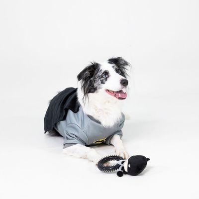 Speelgoed in Batman-design met pluchen figuur en zwarte, stekelvormige kauwring van kunststof.