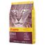 Josera Senior Kattenvoer Dubbelpak: 2 x 10 kg