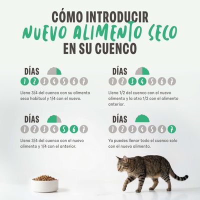 Instrucciones para la introducción gradual de un nuevo pienso en el comedero durante 7 días: ajusta la proporción de la mezcla cada día hasta que solo se ofrezca el nuevo alimento.