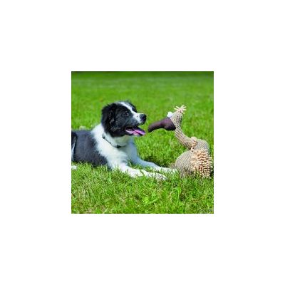 Perro blanco y negro tumbado en césped junto a un juguete de peluche con forma de ave, material textil visible. Ambos mirando hacia el frente.