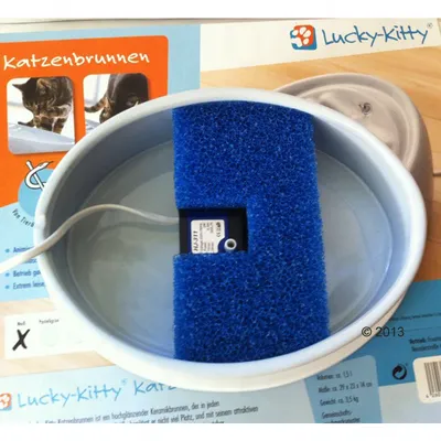 Fontaine pour chat Lucky-Kitty avec filtre bleu et pompe visible, emballage en arrière-plan portant le nom 'Katzenbrunnen' et photos de chats.