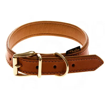 Adjustable brown leather collar with metal buckle and D-ring, shown coiled to display fastening and stitching details.