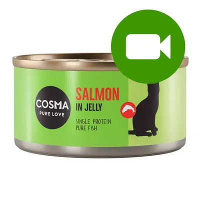 Przycisk odtwarzania wideo. Kliknij tutaj, aby obejrzeć film dotyczący produktu Cosma Pure Love Salmon in Jelly Single Protein Pure Fish.