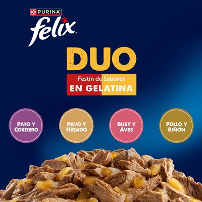 Jumbopack Felix Fantastic 120 x 85 g - Doblemente bueno
