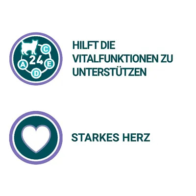 Tekst på tysk: 'HILFT DIE VITALFUNKTIONEN ZU UNTERSTÜTZEN', 'STARKES HERZ'. Symboler: kat med bogstaver A, C, D, E og tallet 24; hjerte i cirkel.