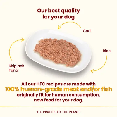 Almo Nature HFC 6 x 280g / 290g - dog wet food - Beef with Ham (290g)