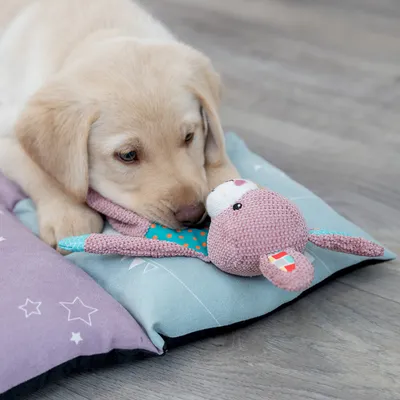 Jouet en forme de lapin rose en tissu avec oreilles longues, posé sur un coussin bleu et violet à motifs d’étoiles, pattes avant d’un chiot visibles à côté du jouet.