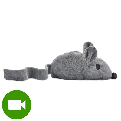 Pluszowa myszka dla kota w kolorze szarym z długim ogonem, materiał: tkanina. Ikona odtwarzania wideo w lewym dolnym rogu obrazu. Pluszowa myszka dla kota w kolorze szarym z długim ogonem, materiał: tkanina. Ikona odtwarzania wideo w lewym dolnym rogu obrazu.